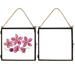 "Nicola Spring 2x Hanging Metal Photo Frames - 8"" x 8"" - Picture Frame Wall Mounted Frame with Rope in Black"