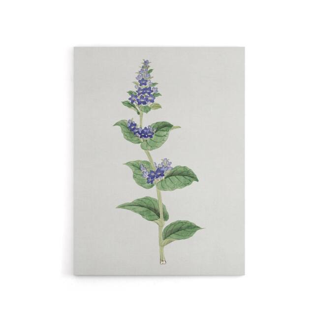 "Artery8 Gentian Flower Canvas Wall Art Print Vintage Japanese Botanical in Pink - Size: W18"" x H24""" - image 1