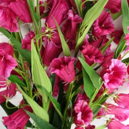 Leaf Pack of 6 x 100cm Trumpet Artificial Flower Stem Fuchsia Pink - Size: 6 x 100 cm - thumbnail 3