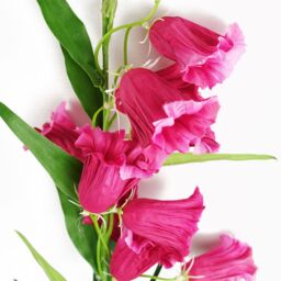 Leaf Pack of 6 x 100cm Trumpet Artificial Flower Stem Fuchsia Pink - Size: 6 x 100 cm - thumbnail 4