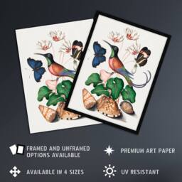 Artery8 Hummingbird Cyclamen Butterflies Seashells Bolton Framed Wall Art - Size: A4 - thumbnail 2