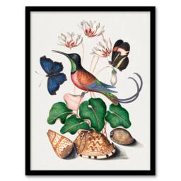 Artery8 Hummingbird Cyclamen Butterflies Seashells Bolton Framed Wall Art - Size: A4 - thumbnail 1