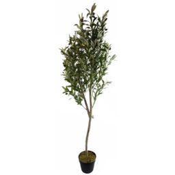 Leaf 180cm Artificial Natural Look Olive Tree with Wooden Trunk in Green - thumbnail 1
