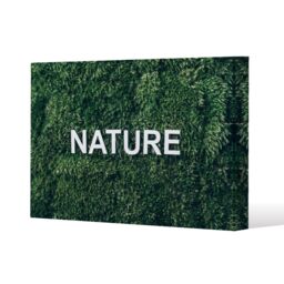 Benjamin Tate Design Wellness Nature (Canvas Print) / 77 x 51 x 4cm in Natural - Size: 77 x 51 x 4 cm - thumbnail 1