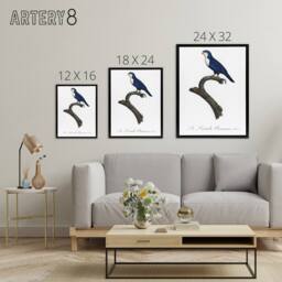 "Artery8 The Arimanon Parakeet Parrot Levaillant Framed Canvas Wall Art Print in White - Size: W12"" x H16""" - thumbnail 4