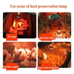 Nordara 250W INFA RED HEAT LAMP WITH BULB FOR POULTRY, BROODER CHICK PUPPIE PIG in Silver - thumbnail 4