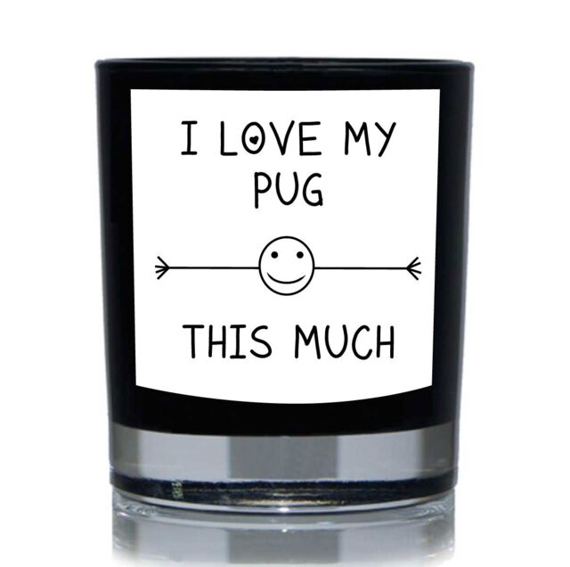 60 SECOND MAKEOVER I Love My Pug This Much Funny 20cl Candle in Black