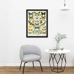 "Artery8 Wall Art Print Millot Encyclopedia Page Butterflies Moths Large Framed Wall Décor Art in Light Oak - Size: W18"" x H24""" - thumbnail 2