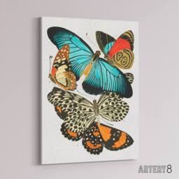 "Artery8 Vintage Butterflies Blue & Orange Canvas Wall Art Print Seguy - Size: W24"" x H32""" - thumbnail 2