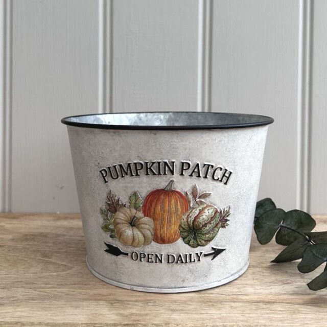 Garden Greatness Pumpkin Patch Zinc Planter Pot - Rustic Autumn Decor in White - Size: 1 Pack - image 1