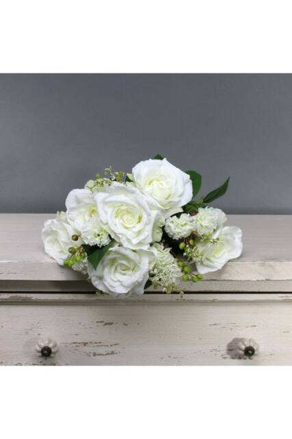 KDMD Tintagel Rose Bush Cream White - image 1