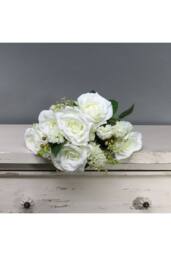 KDMD Tintagel Rose Bush Cream White