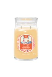 Yankee Candle Women's Signature Large Jar Slopeside Spritz - thumbnail 1