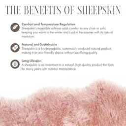 Infinity Leather Luxury Genuine Sheepskin Double Natural Fluffy Soft Real Wool Rug in Pink - Size: 180 cm x 60 cm - thumbnail 6