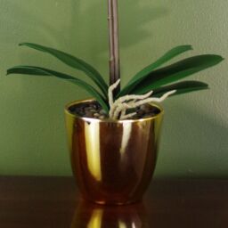 Leaf 46cm Artificial Orchid White & Gold - thumbnail 3