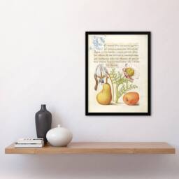 Artery8 Model Book of Calligraphy Framed Wall Art Caterpillar Flowers & Fruit - Size: A4 - thumbnail 2