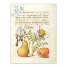 Artery8 Model Book of Calligraphy Framed Wall Art Caterpillar Flowers & Fruit - Size: A4 - thumbnail 3