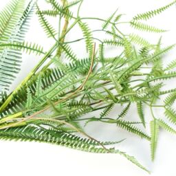 Leaf 180cm Artificial Hanging Trailing Fern Garland Plant in Green - thumbnail 3