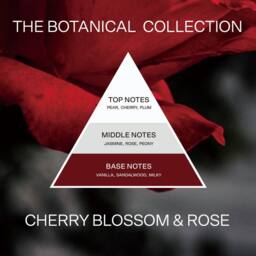 French Connection Botanical Collection - Cherry Blossom & Rose 660G (1-Wick) - FCC008CS - thumbnail 7