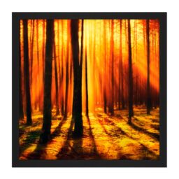 "Artery8 Wall Art Print Forest Sunset Nature Photograph Square Framed Picture 16X16 Inch in Black - Size: W16"" x H16""" - thumbnail 1