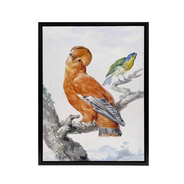 "Artery8 Two Exotic Birds Watercolour Painting Schouman Framed Canvas Wall Art in White - Size: W12"" x H16""" - image 1