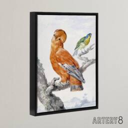 "Artery8 Two Exotic Birds Watercolour Painting Schouman Framed Canvas Wall Art in White - Size: W12"" x H16""" - thumbnail 2