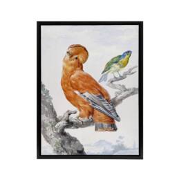 "Artery8 Two Exotic Birds Watercolour Painting Schouman Framed Canvas Wall Art in White - Size: W12"" x H16""" - thumbnail 1