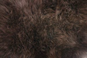 SNUGRUGS Genuine Single Pelt Sheepskin Rug in Chocolate - Size: 60 cm x 90 cm