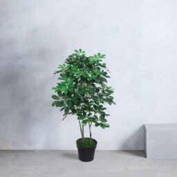 Tradala Trees Lush Artificial Tree Schefflera with Real Wood Trunk in Dark Green - Size: 3ft - thumbnail 2