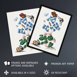 "Artery8 Soldanella Flower & Butterflies Bolton Wall Art Poster Print in White - Size: W12"" x H16""" - thumbnail 2