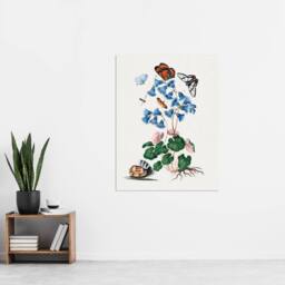 "Artery8 Soldanella Flower & Butterflies Bolton Wall Art Poster Print in White - Size: W12"" x H16""" - thumbnail 4