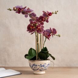 Scottish Everlastings Ltd 54cm Real Touch Dark Pink Phalaenopsis Orchid in Pot - thumbnail 1