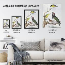 "Artery8 Four Different Birds on a Branch Schouman Wall Art Poster Print - Size: W18"" x H24""" - thumbnail 3