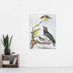"Artery8 Four Different Birds on a Branch Schouman Wall Art Poster Print - Size: W18"" x H24""" - thumbnail 4