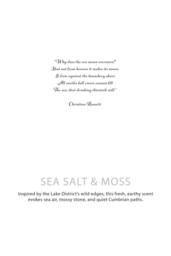 KDMD Agnes & Cat Botanical Soy Wax Candle Sea Salt & Moss 350g in White - thumbnail 6