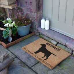 Artsy Mats Labrador doormat - Regular 60x40cm in Brown - Size: 40 cm x 60 cm - thumbnail 2