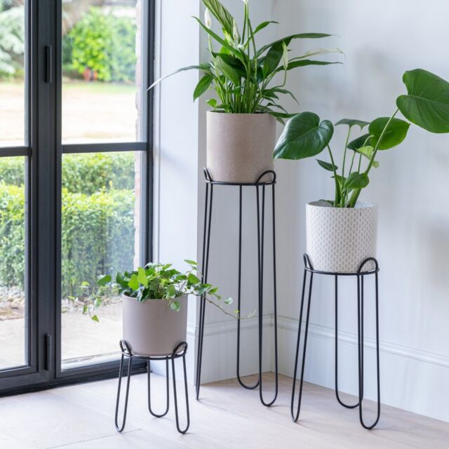 Ivyline Saluzzo Black Plant Stand H64cm D22cm - image 1