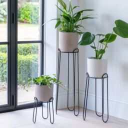Ivyline Saluzzo Black Plant Stand H64cm D22cm - thumbnail 1