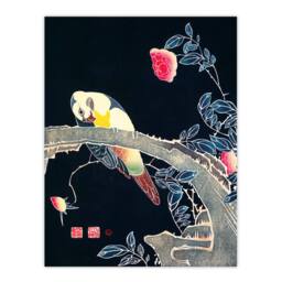 Artery8 Ito Jakuchu Framed Wall Art Print Parrot on Rose Flower Bush Japan - Size: A4 - thumbnail 3