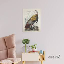 "Artery8 Birds of America Wild Turkey Audubon Nature Canvas Wall Art in White - Size: W18"" x H24""" - thumbnail 3
