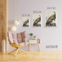 "Artery8 Birds of America Wild Turkey Audubon Nature Canvas Wall Art in White - Size: W18"" x H24""" - thumbnail 4