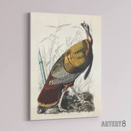 "Artery8 Birds of America Wild Turkey Audubon Nature Canvas Wall Art in White - Size: W18"" x H24""" - thumbnail 2