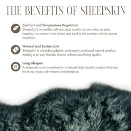 Infinity Leather Luxury Genuine Sheepskin 40x40cm Real Wool Single Sided Cushion in Green - Size: 40 cm x 40 cm - thumbnail 5