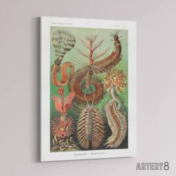 "Artery8 Chaetopoda Marine Worms Haeckel Botanical Canvas Wall Art - Size: W18"" x H24""" - thumbnail 2