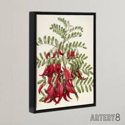 "Artery8 New Zealand Kaka Beak Plant Flowers Featon Framed Canvas Wall Art in Beige - Size: W12"" x H16""" - thumbnail 2