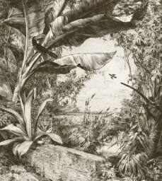 Superfresco Easy Jungle Book Mono Print To Order 3m x 2.8m Mural in White - thumbnail 2