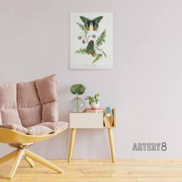 "Artery8 Paul Gervais Madagascan Sunset Moth & Flowers Canvas Wall Art Print in White - Size: W12"" x H16""" - thumbnail 3