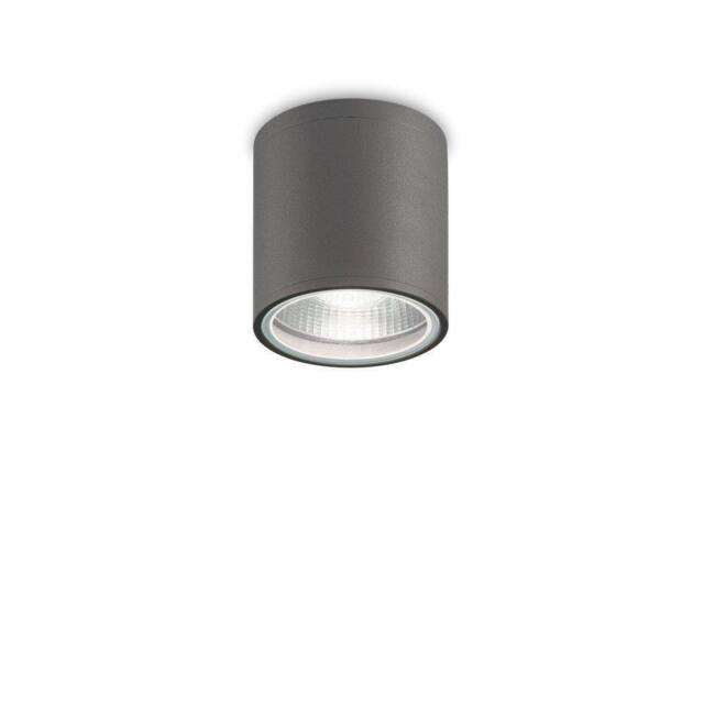 Netlighting Outdoor 1 Light Surface Mounted Ceiling Lamp Anthracite IP44 GU10 in Black