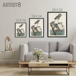 "Artery8 Yellow Crowned Heron Audubon Nature Black Framed Canvas Wall Art in White - Size: W12"" x H16""" - thumbnail 4
