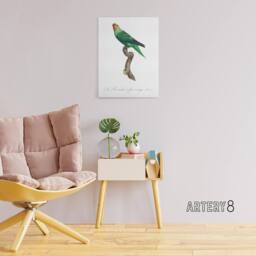 "Artery8 The Red Faced Parrot Francois Levaillant Canvas Wall Art Print in White - Size: W12"" x H16""" - thumbnail 3